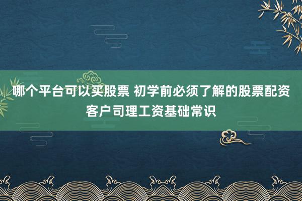 哪个平台可以买股票 初学前必须了解的股票配资客户司理工资基础常识