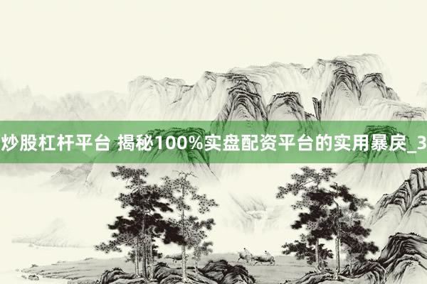 炒股杠杆平台 揭秘100%实盘配资平台的实用暴戾_3