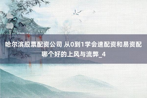 哈尔滨股票配资公司 从0到1学会速配资和易资配哪个好的上风与流弊_4