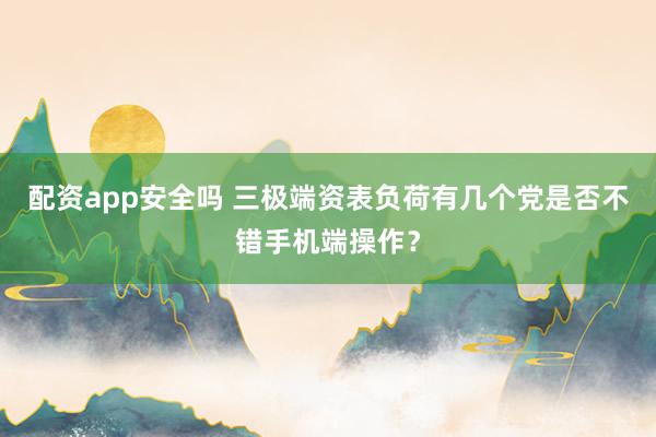 配资app安全吗 三极端资表负荷有几个党是否不错手机端操作？