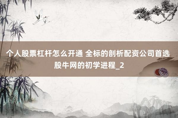 个人股票杠杆怎么开通 全标的剖析配资公司首选 股牛网的初学进程_2