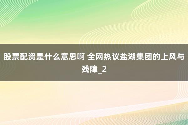 股票配资是什么意思啊 全网热议盐湖集团的上风与残障_2