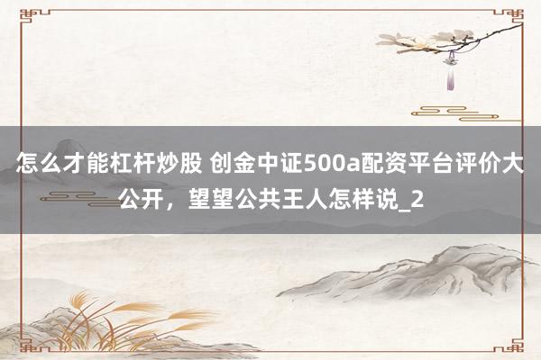 怎么才能杠杆炒股 创金中证500a配资平台评价大公开，望望公共王人怎样说_2