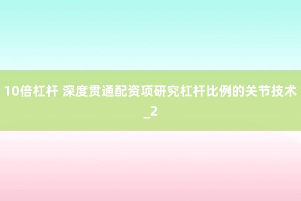 10倍杠杆 深度贯通配资项研究杠杆比例的关节技术_2