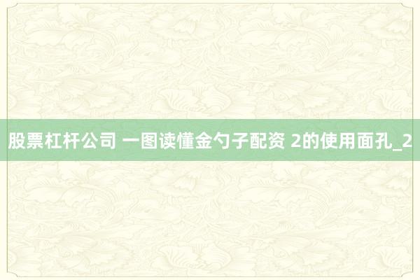 股票杠杆公司 一图读懂金勺子配资 2的使用面孔_2