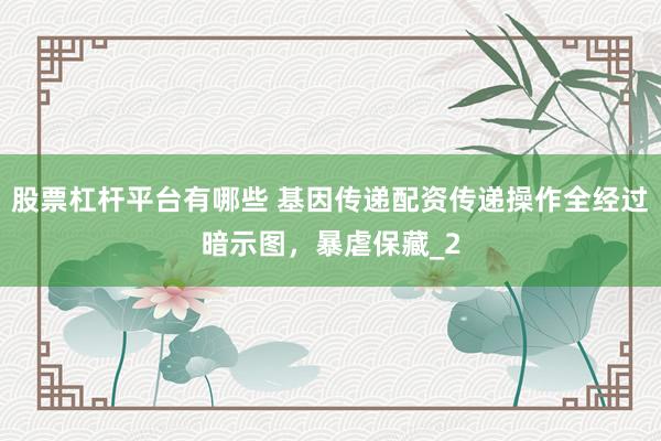 股票杠杆平台有哪些 基因传递配资传递操作全经过暗示图，暴虐保藏_2